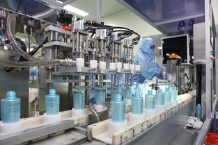 數字便民新舉措 浙江政務服務網一站式辦理不動產權屬證明與IT服務