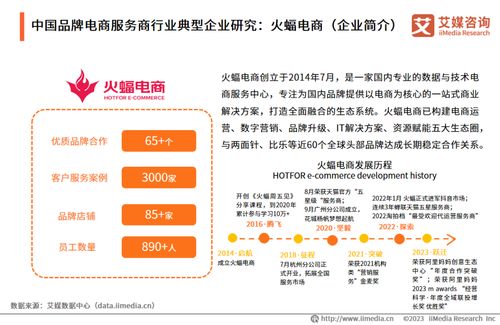 艾媒咨詢 2023年中國品牌電商服務商行業(yè)研究報告